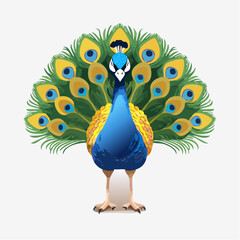 Fototapeta premium 3D Pfau, stehend mit aufgestelltem Rad, Studio-Licht, fotorealistisch, leuchtende Farben