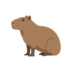Fototapeta premium a capybara sitting calmly its brown fur catching the light a charming image perfect for childrens animal books