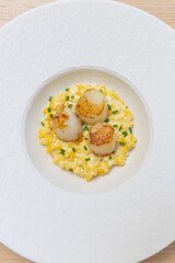 A plate of creamed corn with scallops on top.