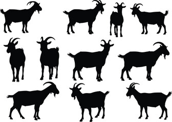 Silhouette Collection of Goats in Various Poses, Standing and Grazing Farm Animals, Black Vector Set for Agriculture and Livestock Design