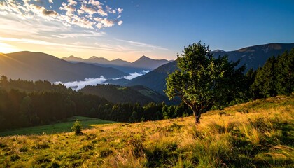 Sunrise over mountain landscape with mist in valleys and golden light on foreground.