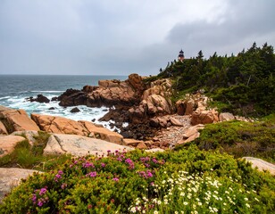 Coastal scene with rocks, waves, lighthouse, and wildflowers