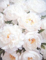 Close-up of a bouquet of white peonies
