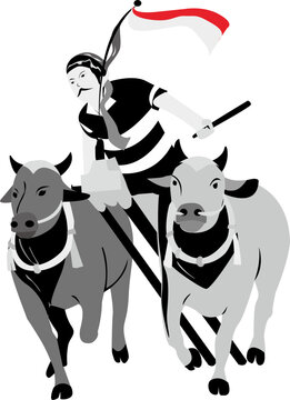 Vector illustration of traditional Madura bull racing (Kerapan Sapi) in black and white style, showing a jockey riding two racing bulls with dynamic motion and Indonesian cultural elements