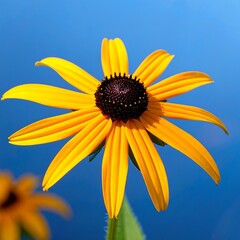 Close-up of a bright yellow flower against a vivid blue sky