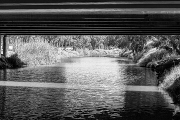Yarkon Park is a large park in Tel Aviv, Israel