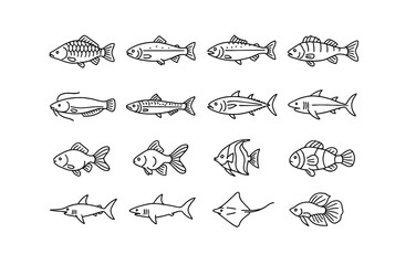 Fototapeta premium Variety of fish in simple line art style on white background