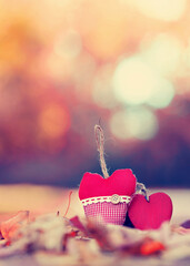 two red hearts in autumn park