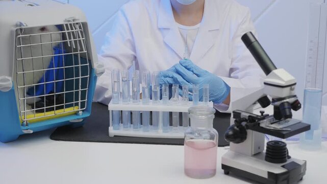 Rabbit in cage near scientist with syringe in laboratory