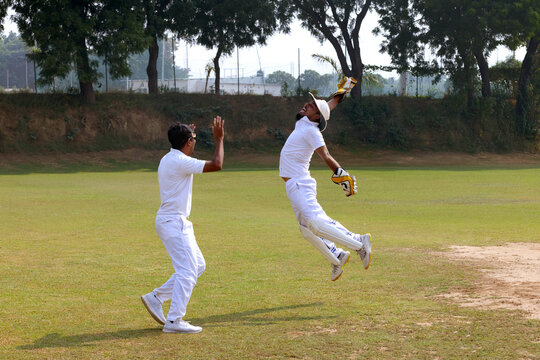 A wicketkeeper jumps in celebration after catching the ball, with a teammate joining in on a cricket field - Powered by Adobe