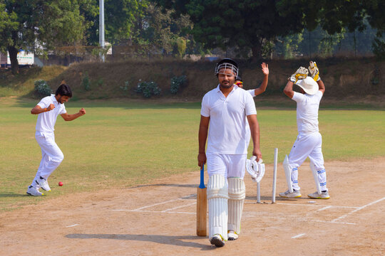 A batsman walks off the field holding his bat, while teammates celebrate a wicket on a cricket field - Powered by Adobe