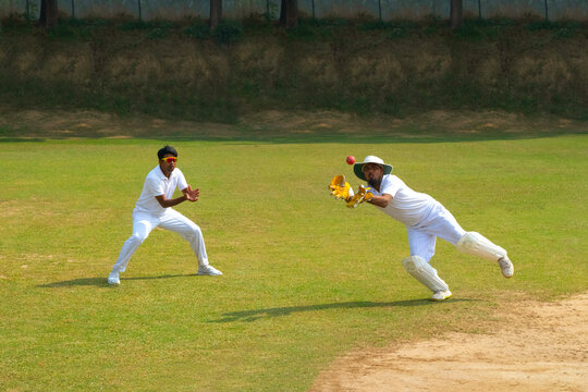 A wicketkeeper catches the ball with a fielder nearby, set on a cricket field under a clear sky, showcasing teamwork