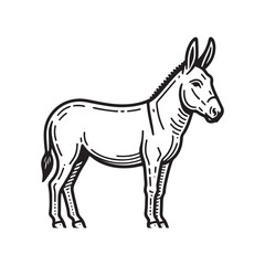 Obraz premium Donkey Standing Pose – Black and White Vector Line Art Farm Animal Illustration