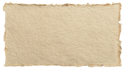 Aged parchment-like paper, irregular edges