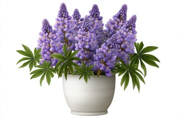 Fototapeta premium Illustration of Purple Lupine Flowers in a White Pot
