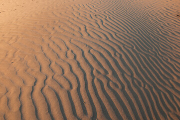 Natural designs and shapes in the sand, caused by the wind.