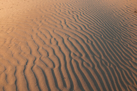 Natural designs and shapes in the sand, caused by the wind.