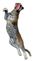 3D Rendering Big Cat Leopard on White