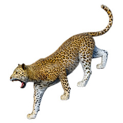 3D Rendering Big Cat Leopard on White