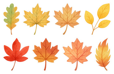 Fototapeta premium PNG Colorful autumn leaves illustration, element set on transparent background