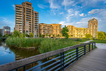 Summer view of Holland Park in Diemen Zuid, new, emerging neighbourhood on the edge of Amsterdam, The Netherlands