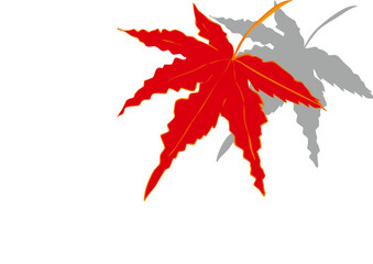 紅葉したカエデの葉のイラスト