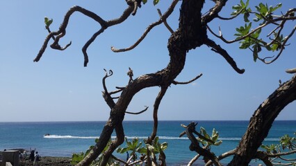 Breathtaking island landscape featuring a pristine white sandy beach stretching endlessly, bordered by lush green mountain range in the backdrop, and a distant island visible across the serene expanse