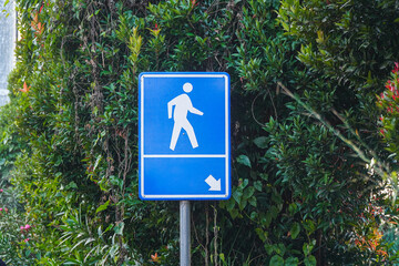 A vivid image showcases a blue pedestrian sign with a white figure, contrasted against lush green foliage. The sign indicates a direction for walking, isolated in white background for clarity.