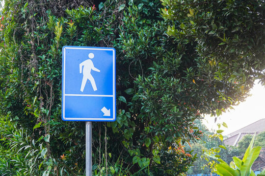 Pedestrian crossing sign against green foliage, perfect for safety campaigns and city planning visuals. The sign's clear design promotes walkability and pedestrian awareness in urban spaces.