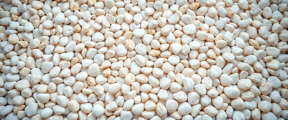 A scattering of smooth, white pebbles forms a textured background,   isolated,  coastal