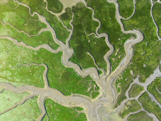 Les traicts du Croisic sont des bras de mer dans la presqu'île guérandaise, à l'ouest des marais...