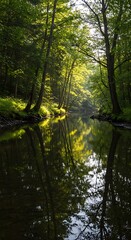 Fototapeta premium Emerald Reflections