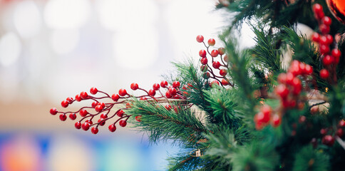 Vibrant red berries on christmas tree branch with green needles