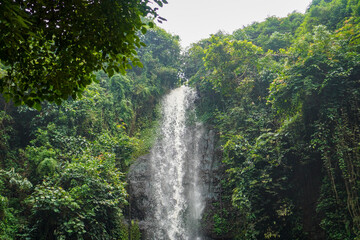 A captivating waterfall cascades down a rocky cliff, framed by lush green foliage in a vibrant and natural setting, ideal for nature and landscape themes. Isolated on white background.
