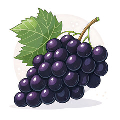 A cluster of ripe dark purple grapes with a green leaf