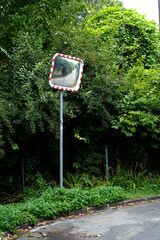 Traffic mirror on the road surrounded by greenery
