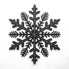 Detailed black snowflake ornament on a white background