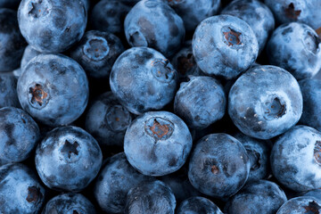 Close up on Blueberry Fruit