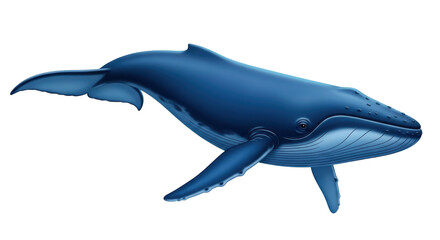 Isolated Humpback Whale Swimming, Marine Mammal, Aquatic Animal, Deep Sea Creature, Fauna