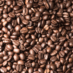 Coffee and Coffee beans