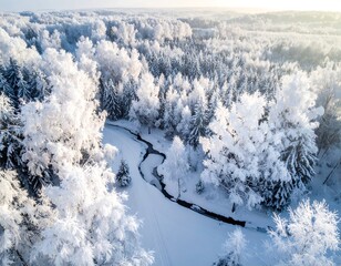Majestic winter landscape of snowy forest with a winding stream view from above