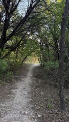 Obraz premium Cleburne State Park is a 528-acre Texas state park in Johnson County, Texas operated by the Texas Parks and Wildlife Department. The park includes the 116-acre, spring-fed Cedar Lake that was created 