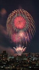 A breathtaking fireworks display explodes over a city at night. The vibrant colors and spectacular patterns of the fireworks light up the sky over an urban cityscape.