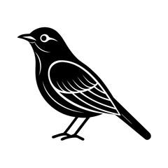 Vector Illustration Of A Bird On White Background
