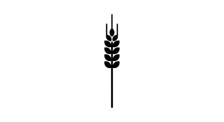 Black wheat plant illustration on white background showing the grain.