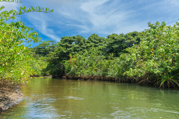 ヒナイ川　西表島 2025年9月5日撮影