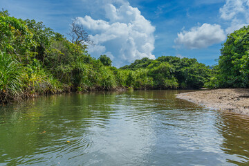 ヒナイ川　西表島 2025年9月5日撮影