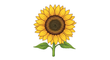 Obraz premium Illustration of a vibrant sunflower with detailed petals and green stem isolated against white