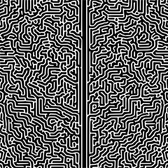 Obraz premium Black and white abstract maze like pattern with two vertical lines dividing the image into sections