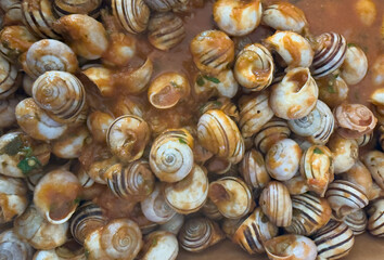 Traditional Mediterranean recipe of cooked snails in tomato sauce with herbs and spices